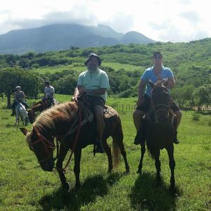 Meet your Posher, Brigitte